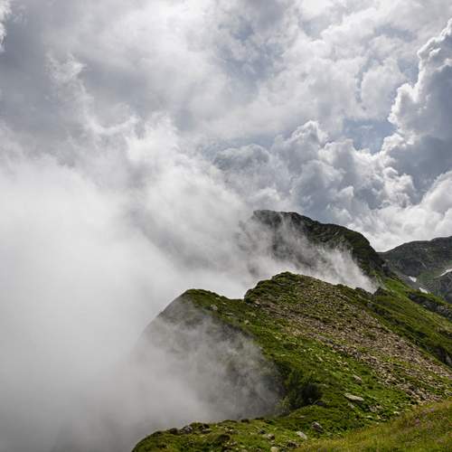 Photo #13759231
