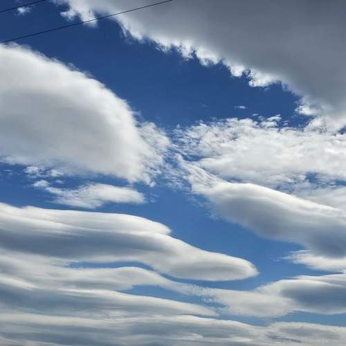 Photo #13759239