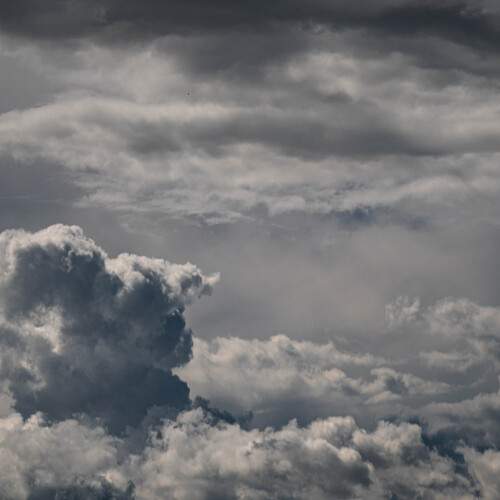 Photo #13759258