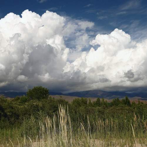 Photo #13759306