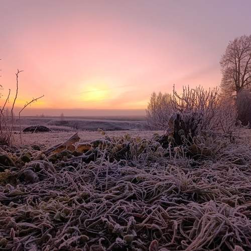 Photo #13759311