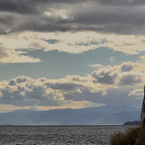 Photo #13759320
