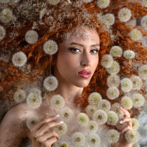 Born from Dandelions