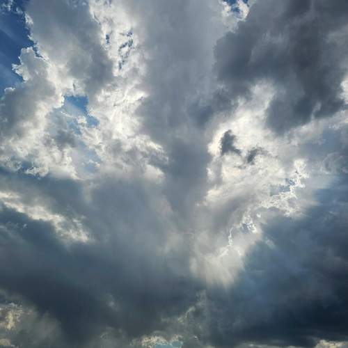 Photo #13759432