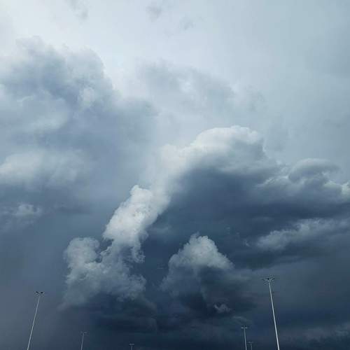 Photo #13759434