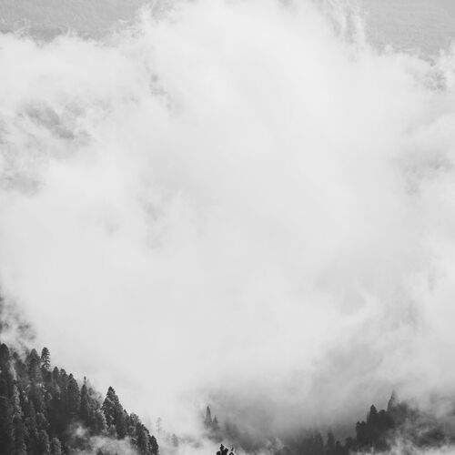 Photo #13759437