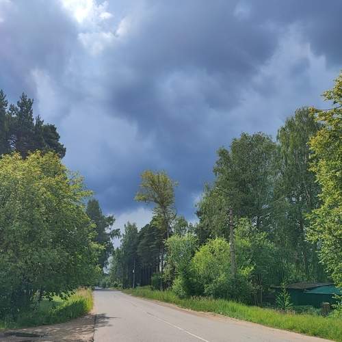Photo #13759466