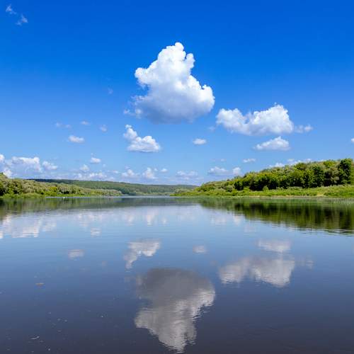 Photo #13759478
