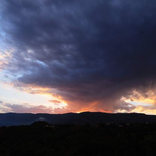 Photo #13759488