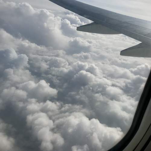 Photo #13759506
