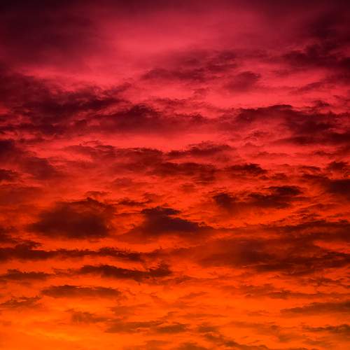 Photo #13759592