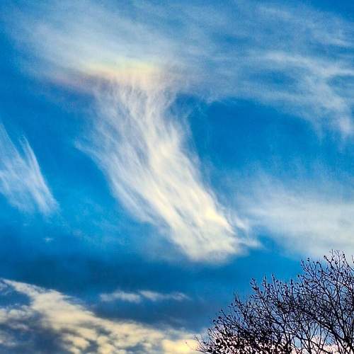 Photo #13759594
