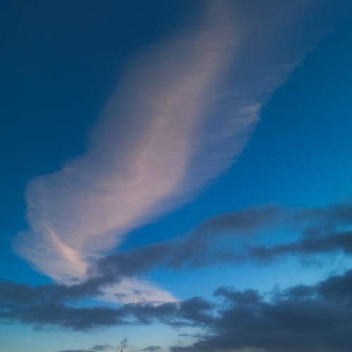 Photo #13759614
