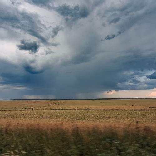 Photo #13759621
