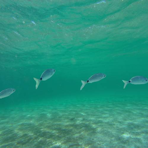 Photo #13759635