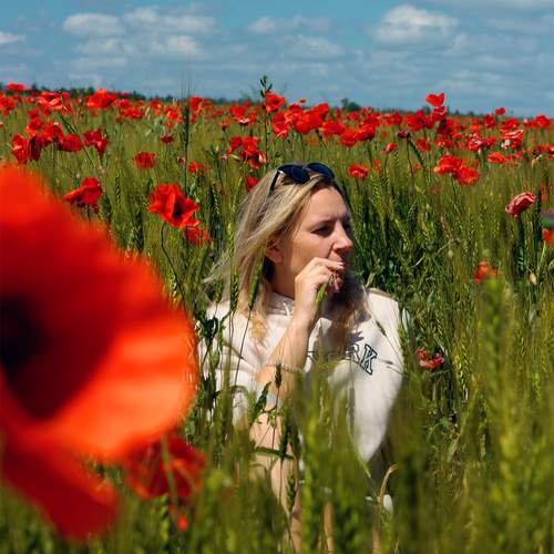 Photo #13759637