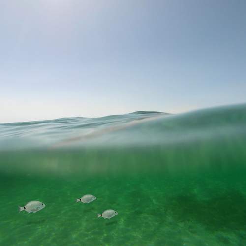 Photo #13759639