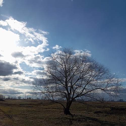 Photo #13759642