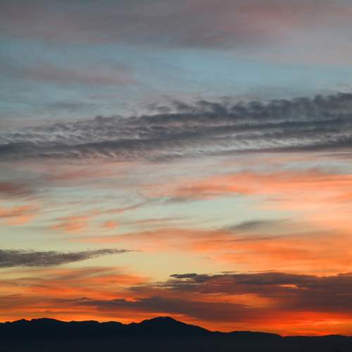 Photo #13759643
