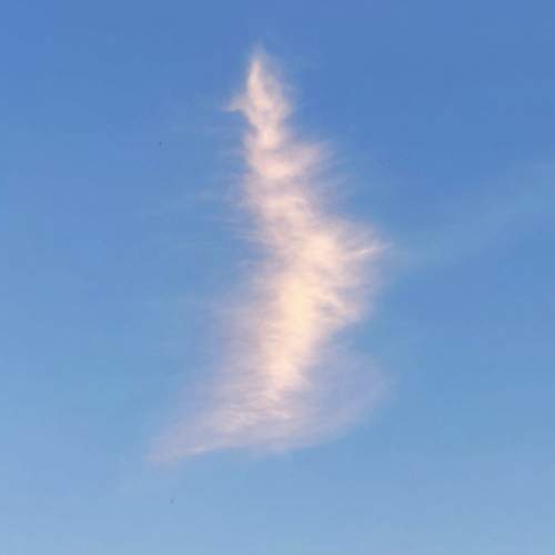 Photo #13759684