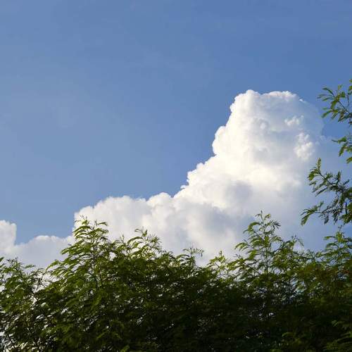 Photo #13759754
