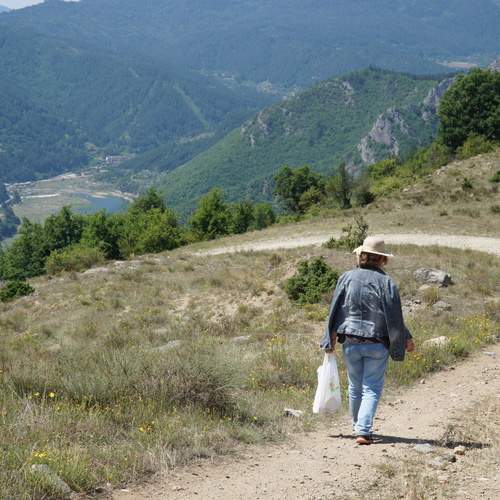 Photo #13759766