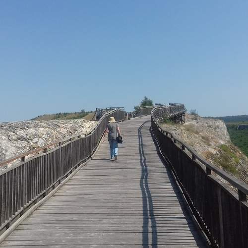 Photo #13759770