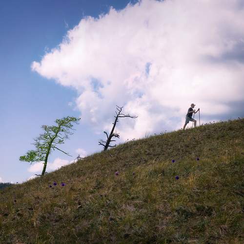 Photo #13759822