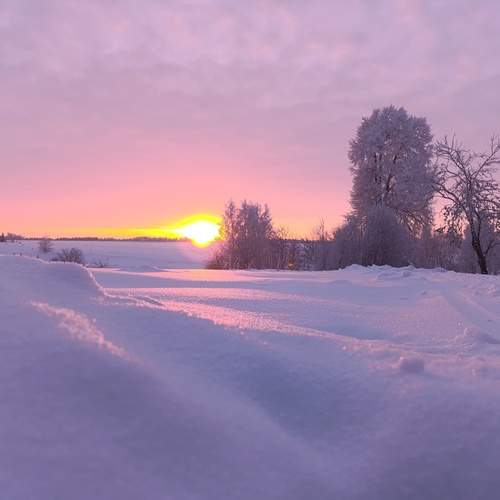 Photo #13759844