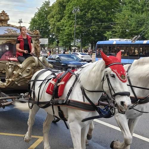 Photo #13759869