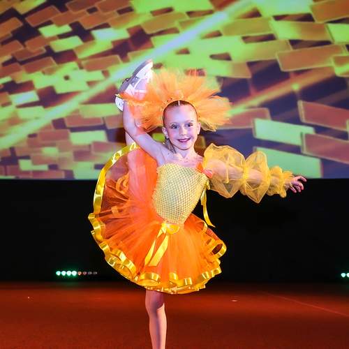 Photo #13759962