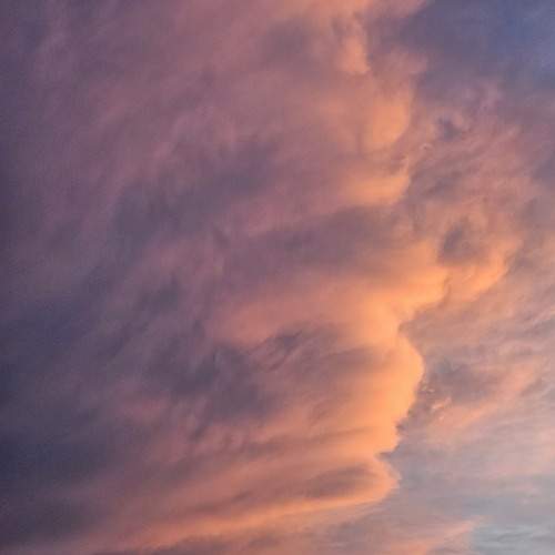 Photo #13759993