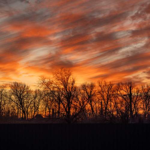 Photo #13760010