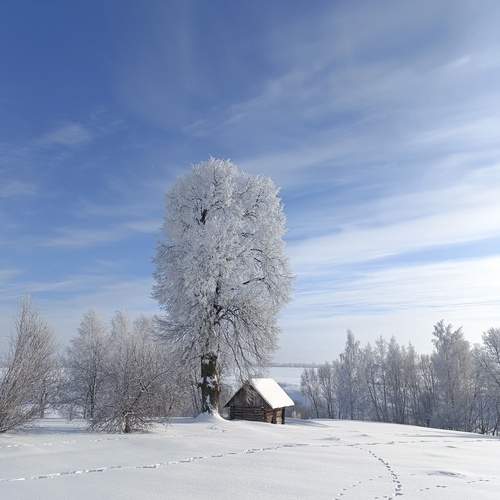 Photo #13760059