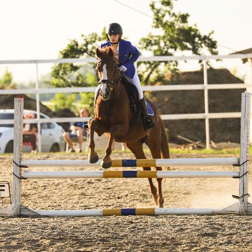 Photo #13760068