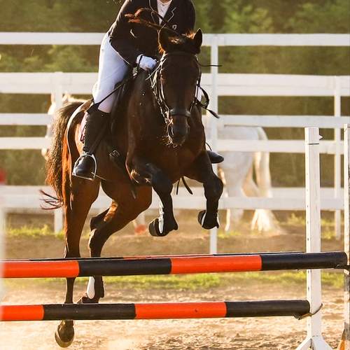 Photo #13760125