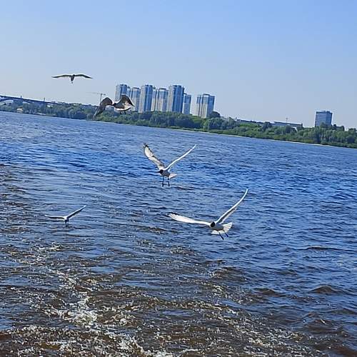 Photo #13760179