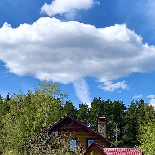 Photo #13760193