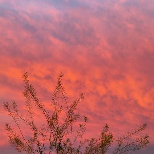 Photo #13760263