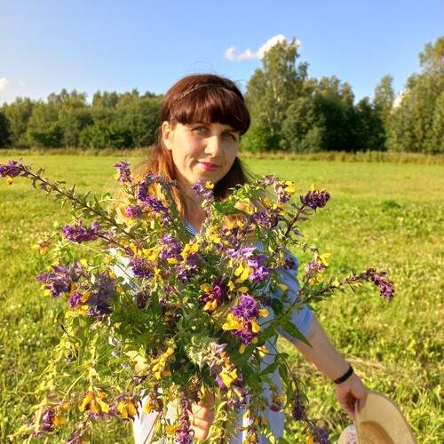 Photo #13760337
