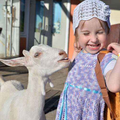 Photo #13760347