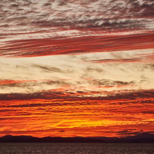 Photo #13760362