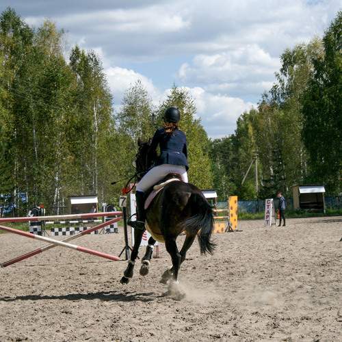 Photo #13760374