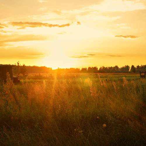 Photo #13760403