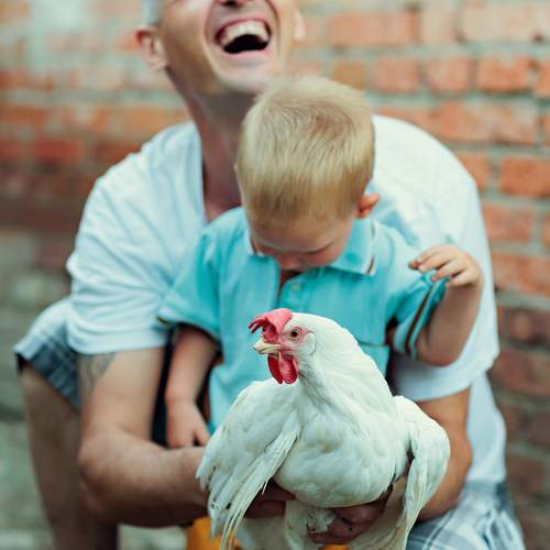 Photo #13760457