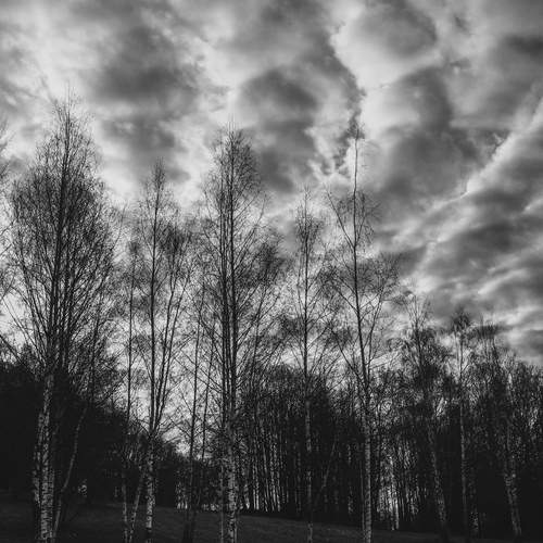 Photo #13760482