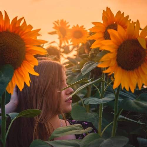Photo #13760523