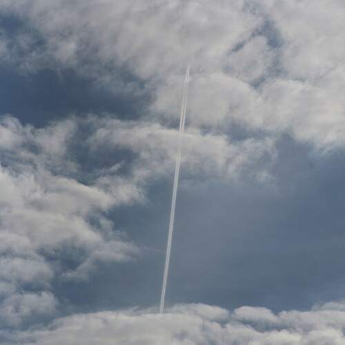 Photo #13760533