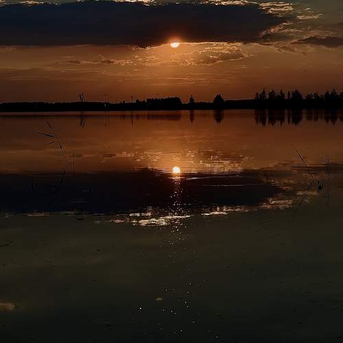 Photo #13760543