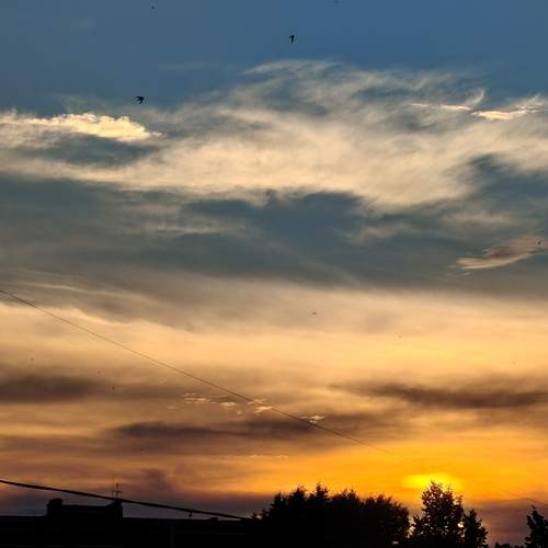 Photo #13760579